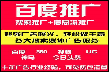 竞价推广策略：某电商平台的成功案例